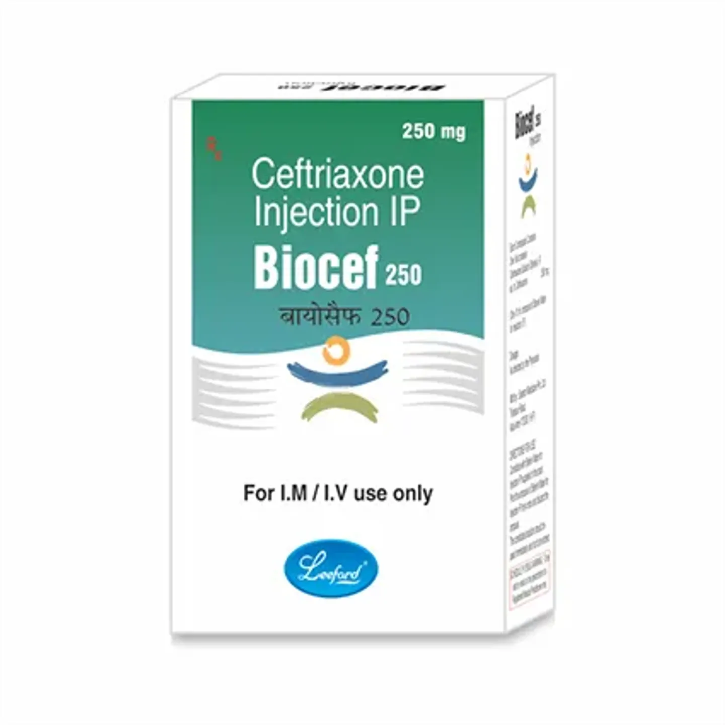 Biocef 250 Injection 10ml product image