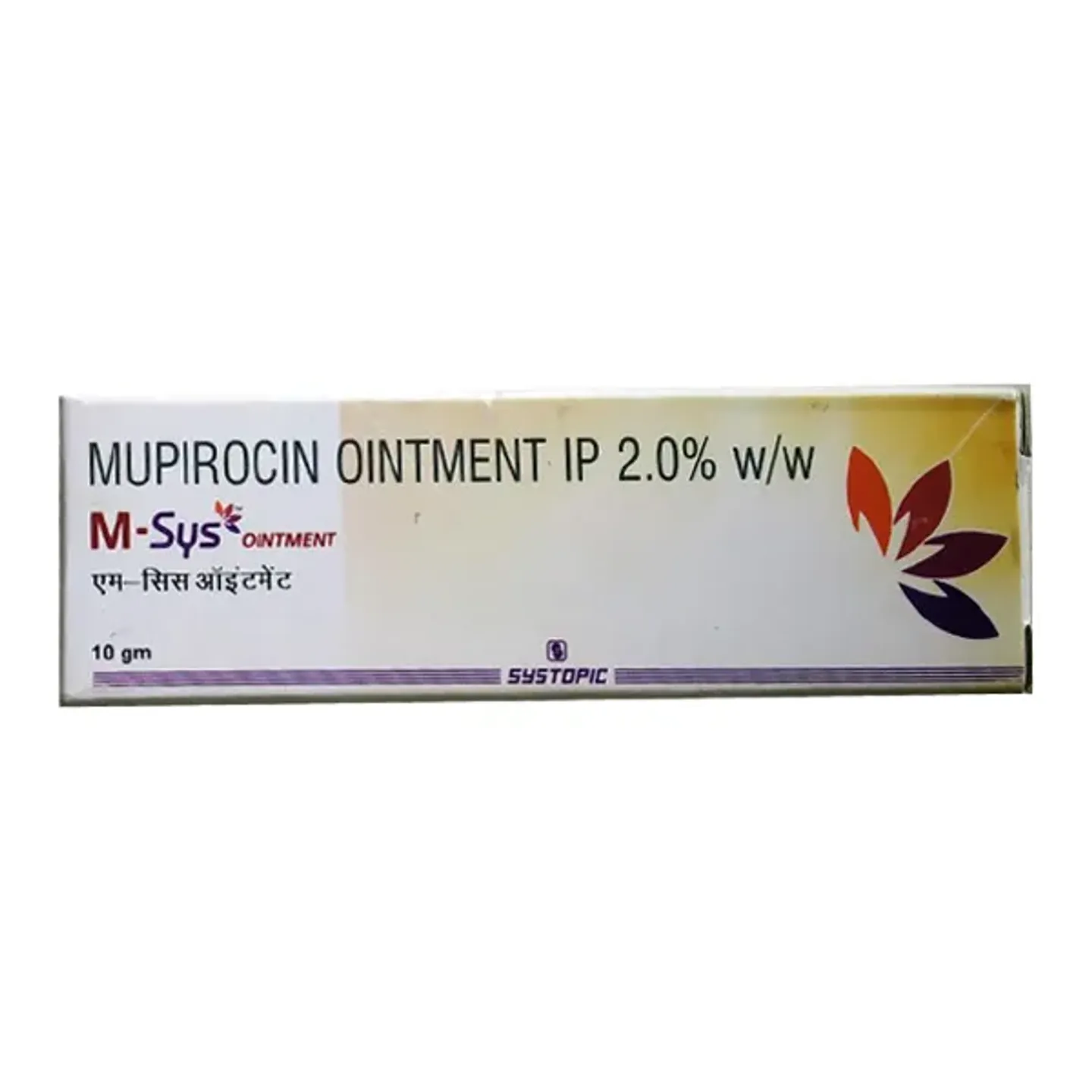 Msys Ointment 10gm product image