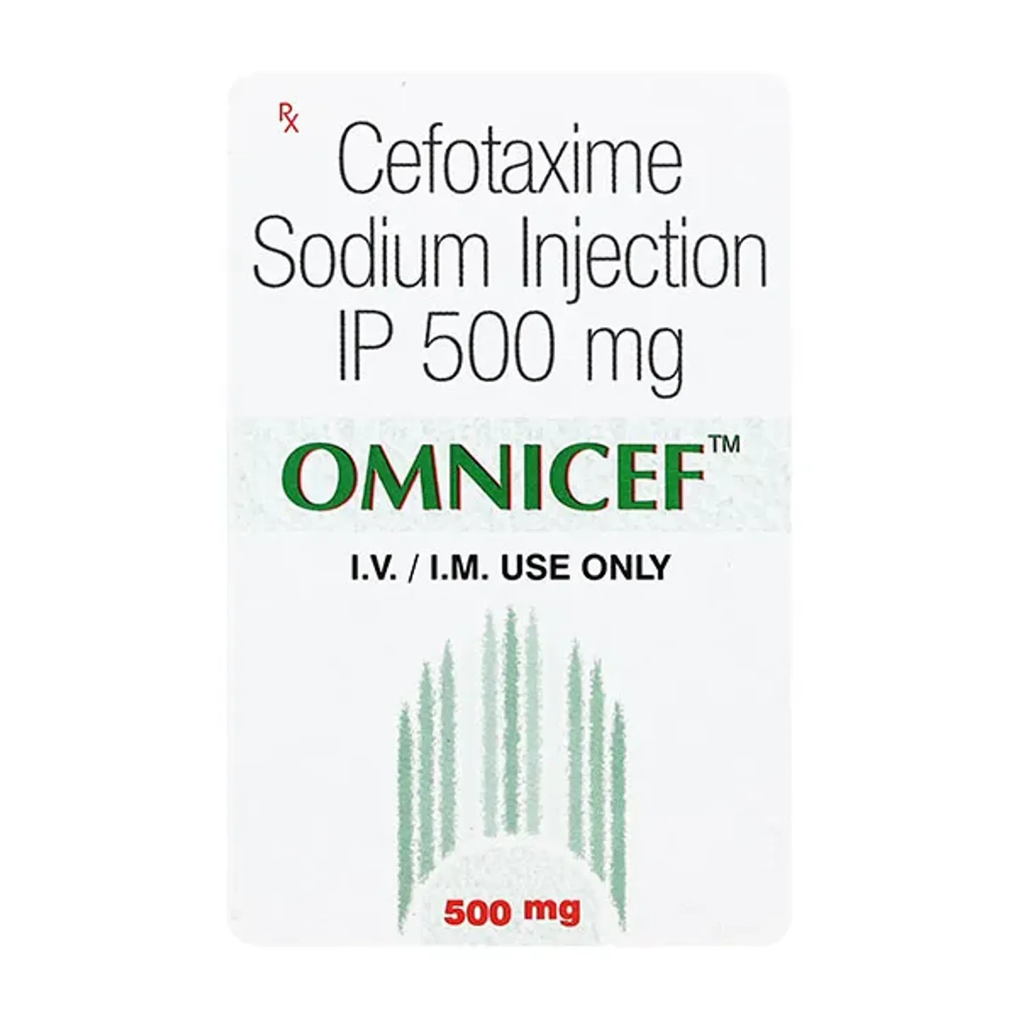 Omnicef 500 Injection product image
