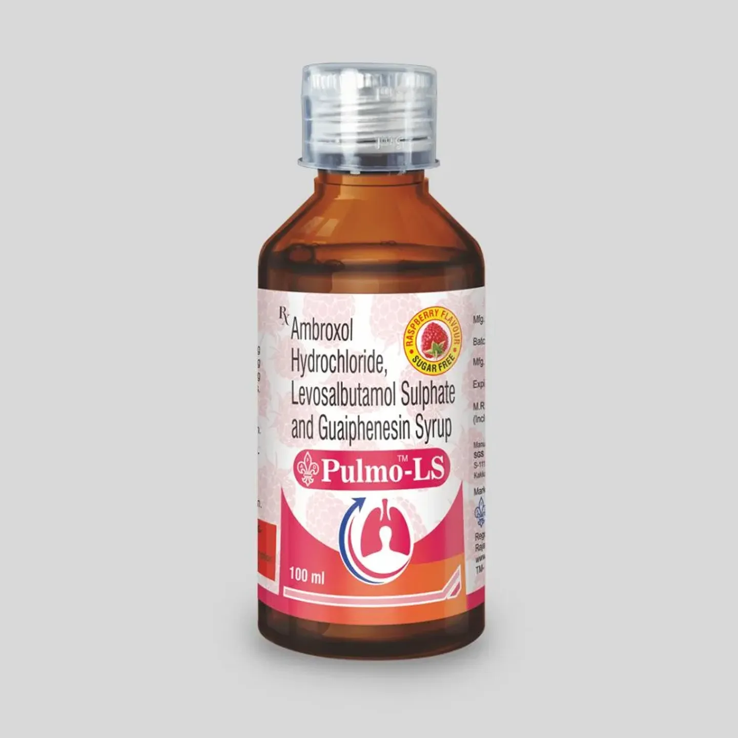 Pulmo Ls Syrup product image