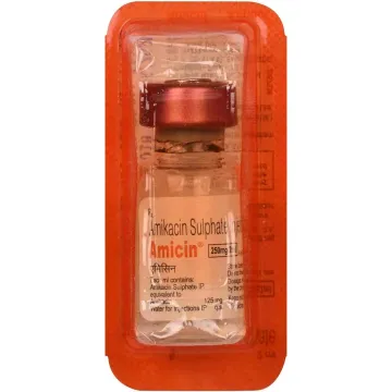Amicin 250mg Injection 2ml product image