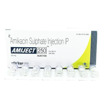 Amiject 250mg Injection product image