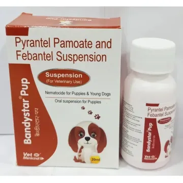 Bandystar Pup Pet Oral Suspension 20ml product image