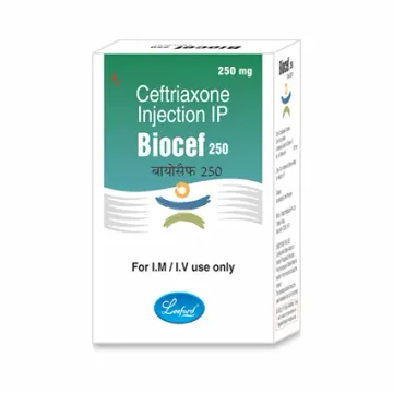 Biocef 250 Injection 10ml product image
