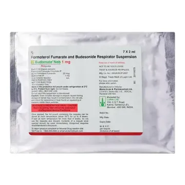 Budamate Neb 1mg Respules (2ml Each) product image