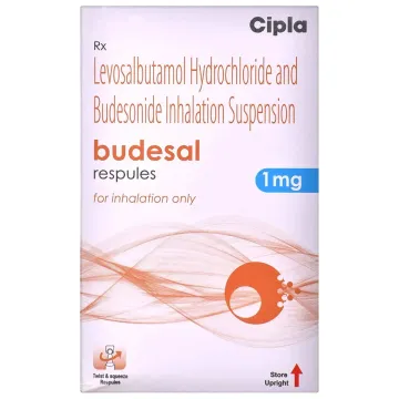 Budesal 1mg Respule 2ml product image