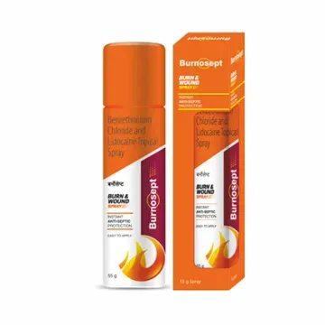 Burnosept Spray 55gm product image