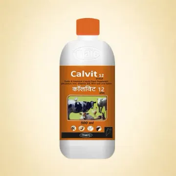 Calvit 12 Syrup product image