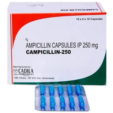 Campicillin 250 Capsule product image