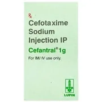 Cefantral 1000mg Injection product image