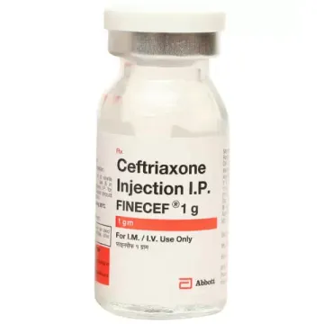 Finecef 1gm Injection 1ml product image