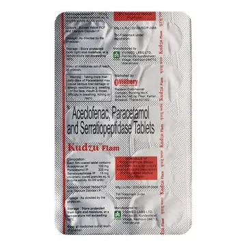 Kudzu Flam Tablet product image