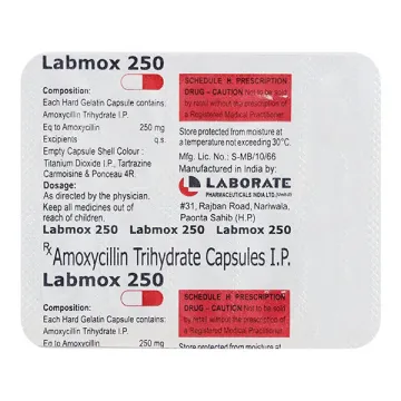 Labmox 250 Capsule product image