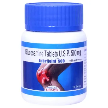 Lubrijoint 500 Tablet product image