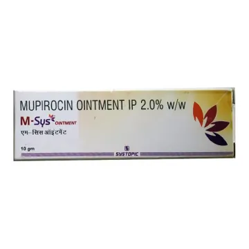 Msys Ointment 10gm product image
