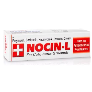 Nocin L Ointment 15gm product image