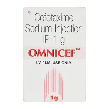 Omnicef 1gm Injection product image
