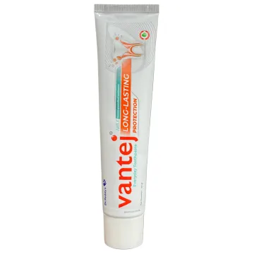 Vantej Toothpaste 50 Gm product image