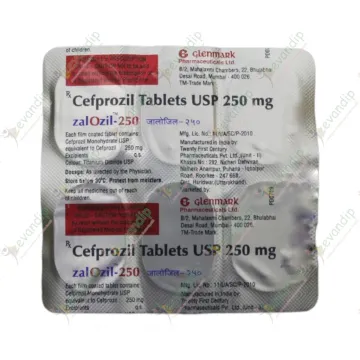 Zalozil 250mg Tablet product image