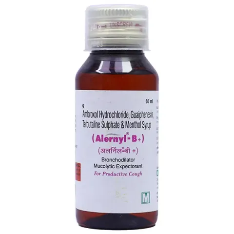 Alernyl B Plus Syrup product image