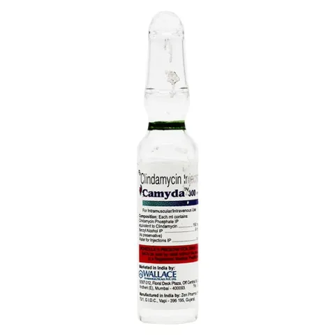 Camyda 300mg Injection product image