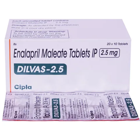 Dilvas 2.5 Tablet product image