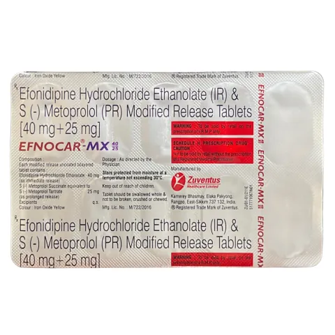 Efnocar Mx Tablet product image
