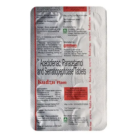 Kudzu Flam Tablet product image