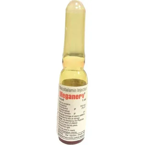 Meganerv Injection product image