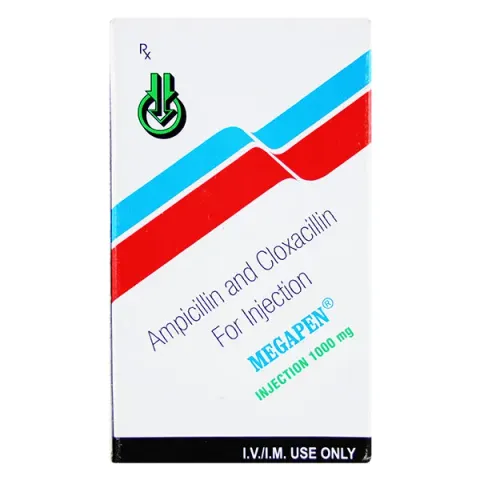 Megapen 1gm Injection product image
