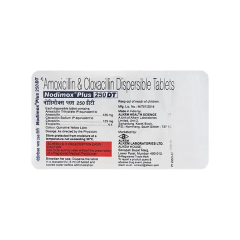 Nodimox Plus 250 Dt Tablet product image