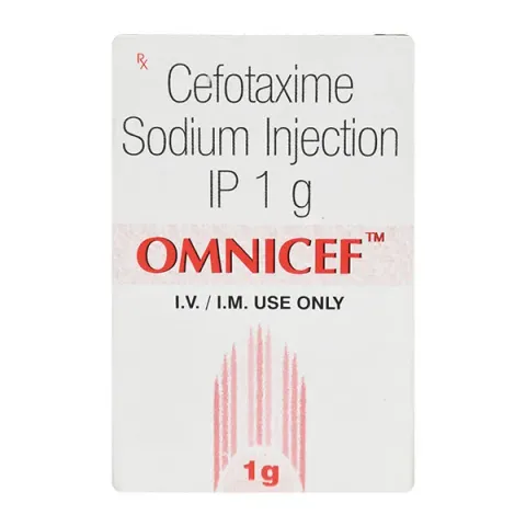 Omnicef 1gm Injection product image