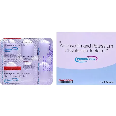 Polyclav 375 Tablet product image