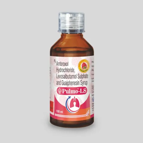 Pulmo Ls Syrup product image