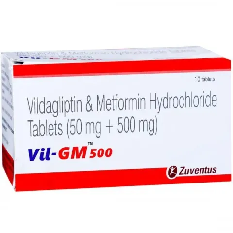 Vil-gm 500 Tablet product image