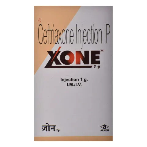 Xone 1gm Injection product image