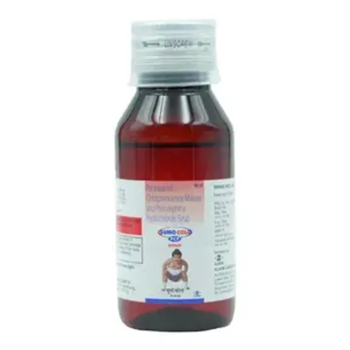 Alerfri P Syrup 60ml product image