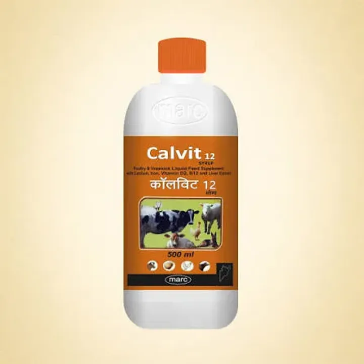 Calvit 12 Syrup product image