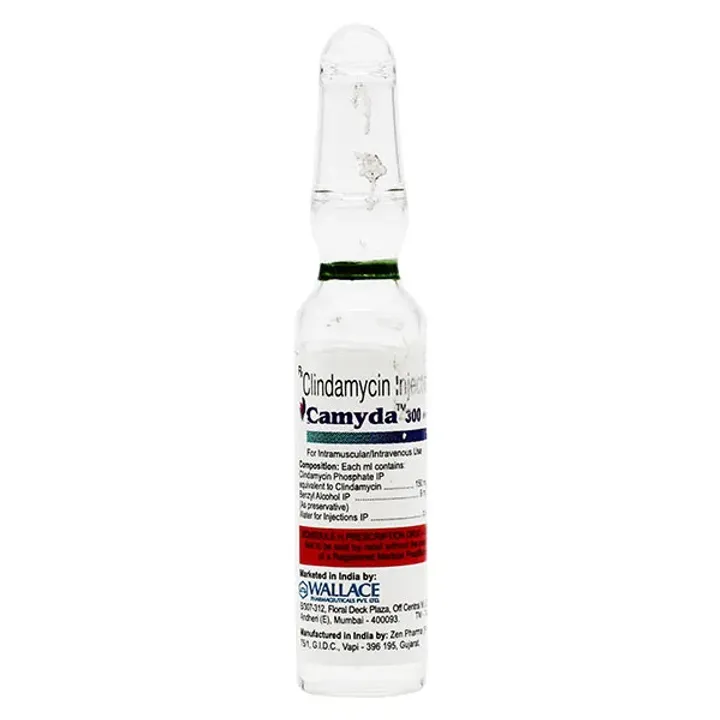 Camyda 300mg Injection product image