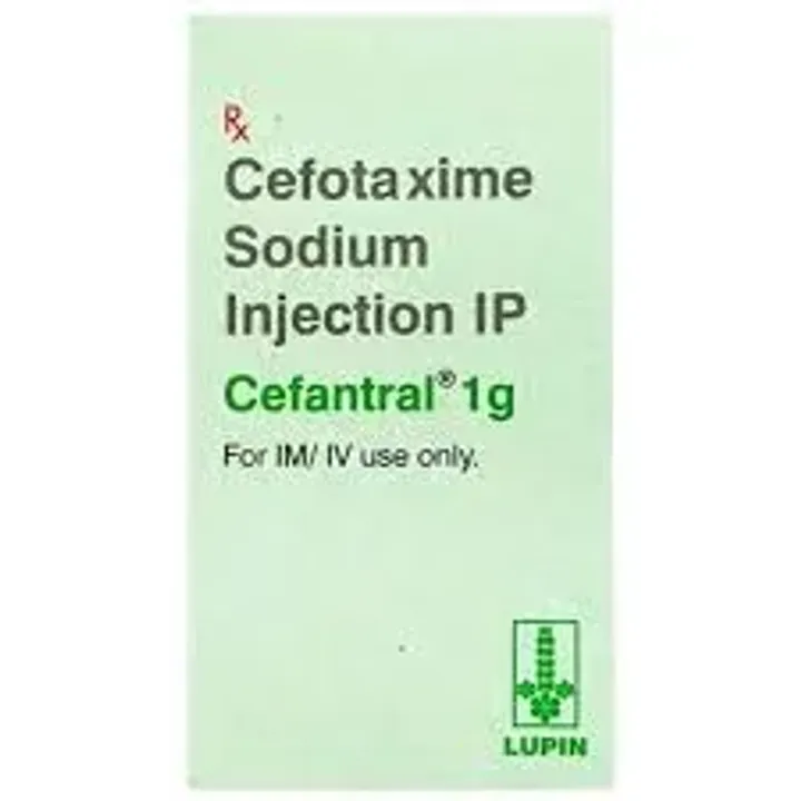 Cefantral 1000mg Injection product image