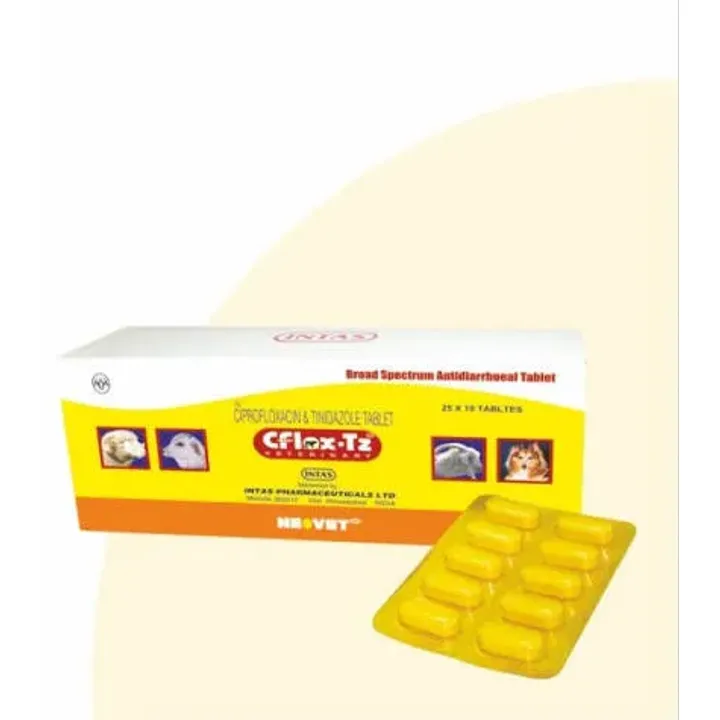 Cflox-tz 500mg/600mg Tablet product image