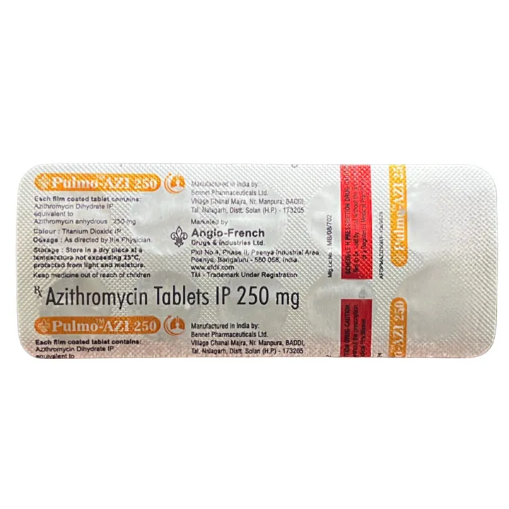 Pulmo Azi 250mg Tablet product image