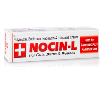 Nocin L Ointment 15gm