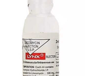 Lynx Injection 2ML