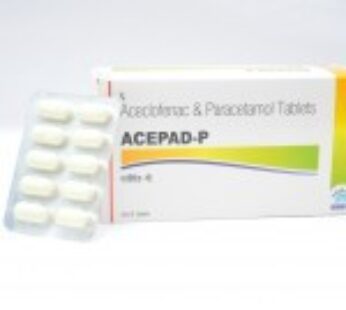 Acepad P Tablet
