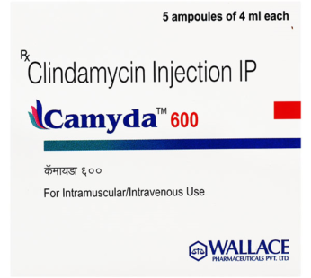 Camyda 600mg Injection