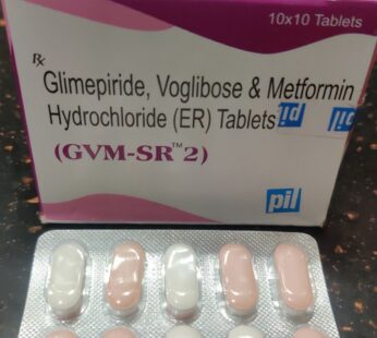 GVM 2 Tablet SR