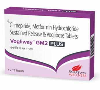 Vogliway GM2 Plus Tablet